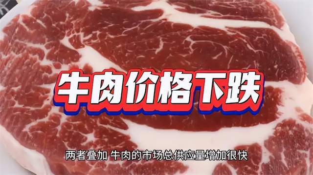 降幅超20%牛肉卖到猪肉价！养殖户叫苦连天价格已创5年来最低(图13)