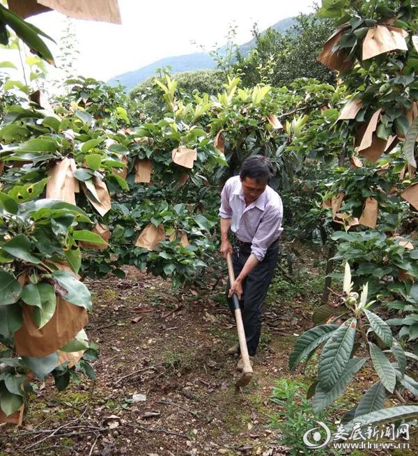 中国·(九游J9)真人游戏第一品牌致富能手王付华：“嫁接”浇开幸福花(图3)