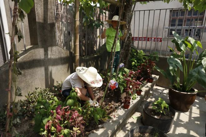 中国·(九游J9)真人游戏第一品牌小盆栽串起大风景美丽乡村来了群可爱的“设计师”(图2)