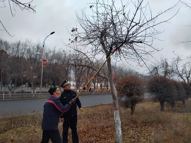 中国·(九游J9)真人游戏第一品牌园林部门开展春季果树修剪技术指导工作(图1)