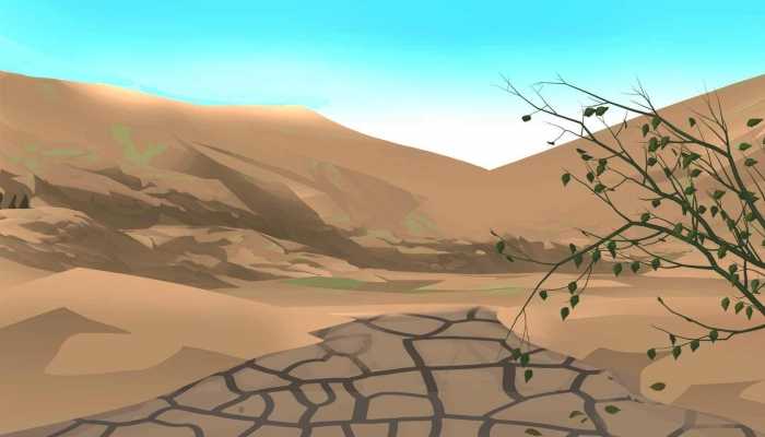 九游J9真人游戏第一品牌沙柳适合种在沙漠吗 沙柳的生长环境(图3)