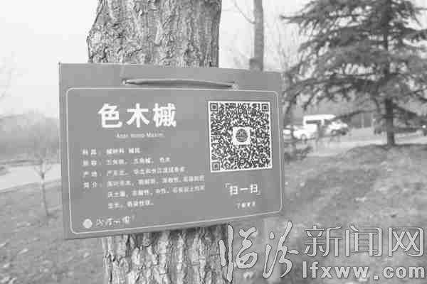 九游J9真人游戏第一品牌临汾汾河公园植物有了“二维码”扫一扫就知晓(图1)