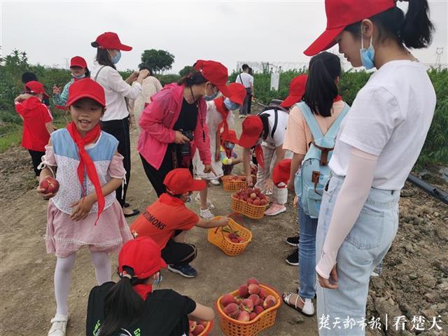 中国·(九游J9)真人游戏第一品牌潜江农民13年种出一棵果当全国劳模、享省政府津(图3)